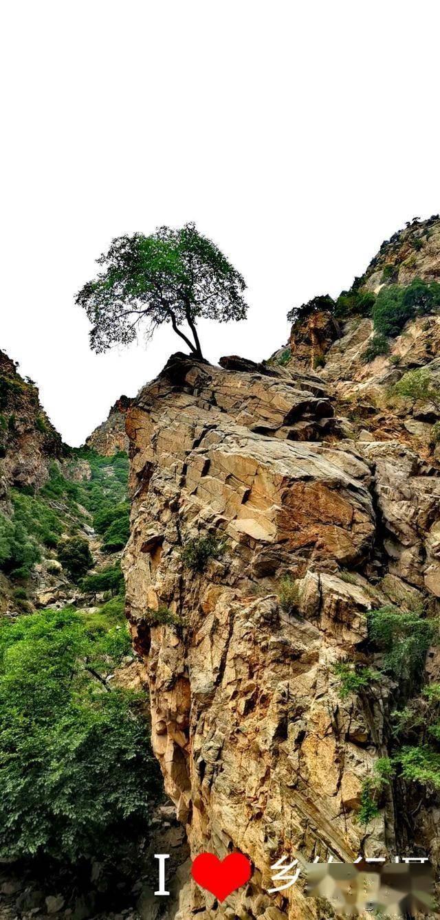 重阳节有什么忌讳游戏画面